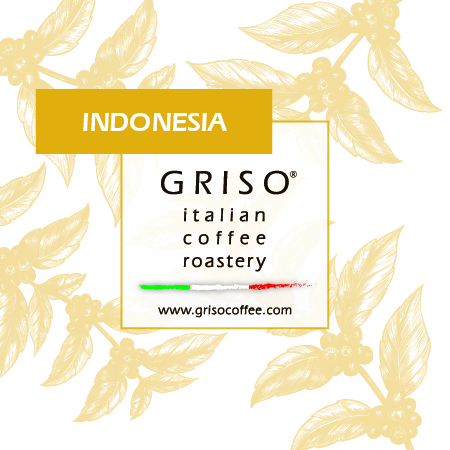 Indonesia Griso